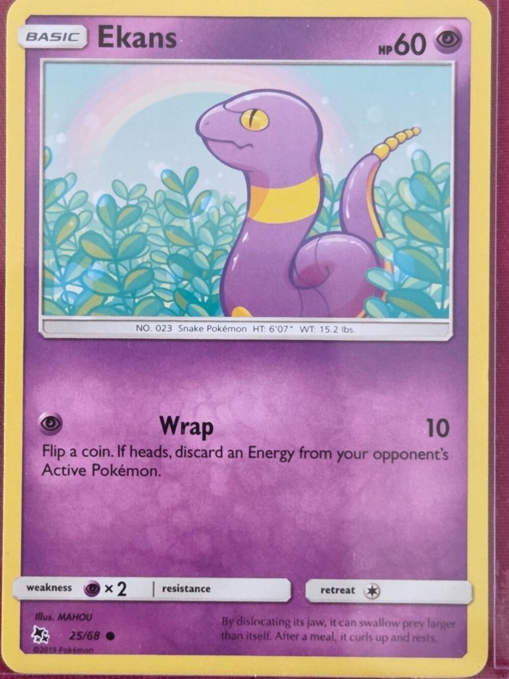2019 POKEMON, EKANS CARD!!!